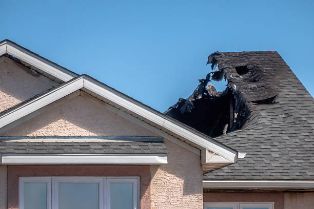 Top rated local Fire Damage Removal specialists in Norwood Young America, MN